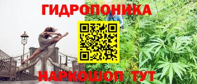дживик Анжеро-Судженск
