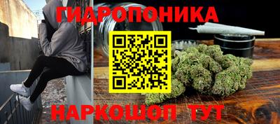 дживик Анжеро-Судженск