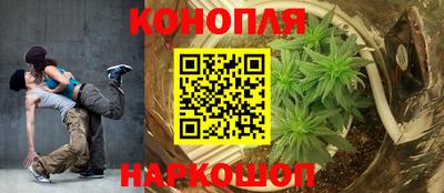амф Анапа